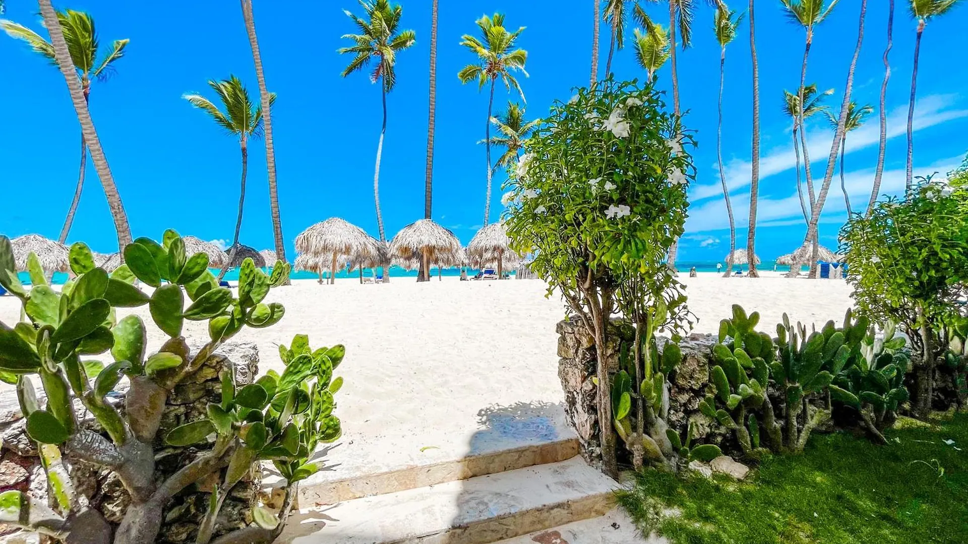 Oceanfront & Garden View Villas Hotel Wifi Bbq Parking Los Corales Beach Club & Spa Punta Cana Dominican Republic