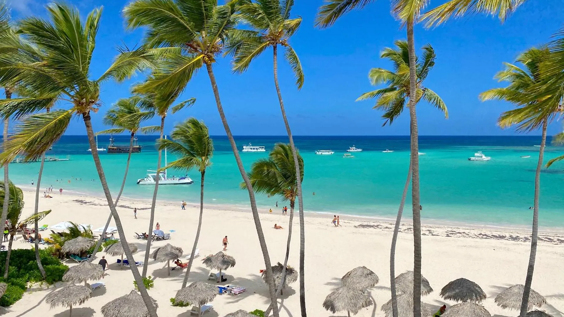 Oceanfront & Garden View Villas Hotel Wifi Bbq Parking Los Corales Beach Club & Spa location